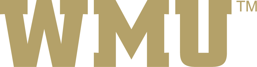 Western Michigan Broncos 2016-2021 Wordmark Logo t shirts iron on transfers